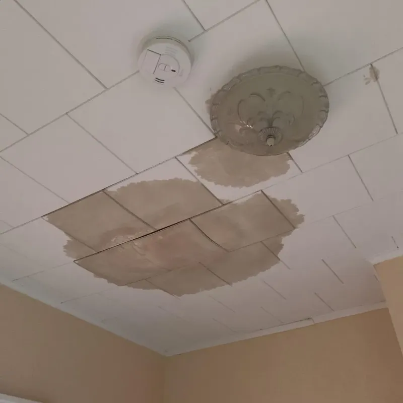 Ceiling Water Damage Repair in Jonesville, VA