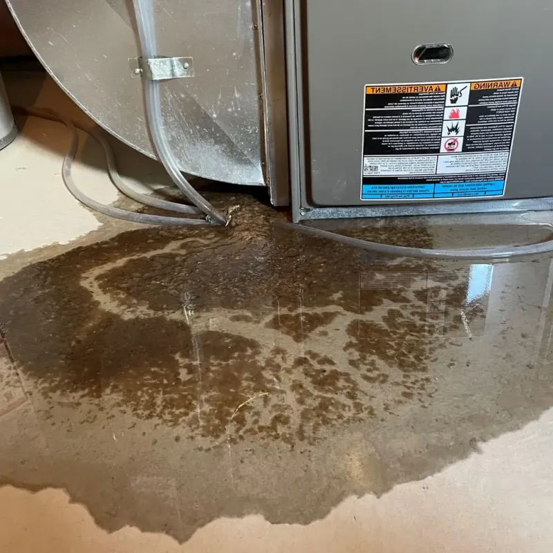 Pipe Burst and Leak Restoration in Jonesville, VA